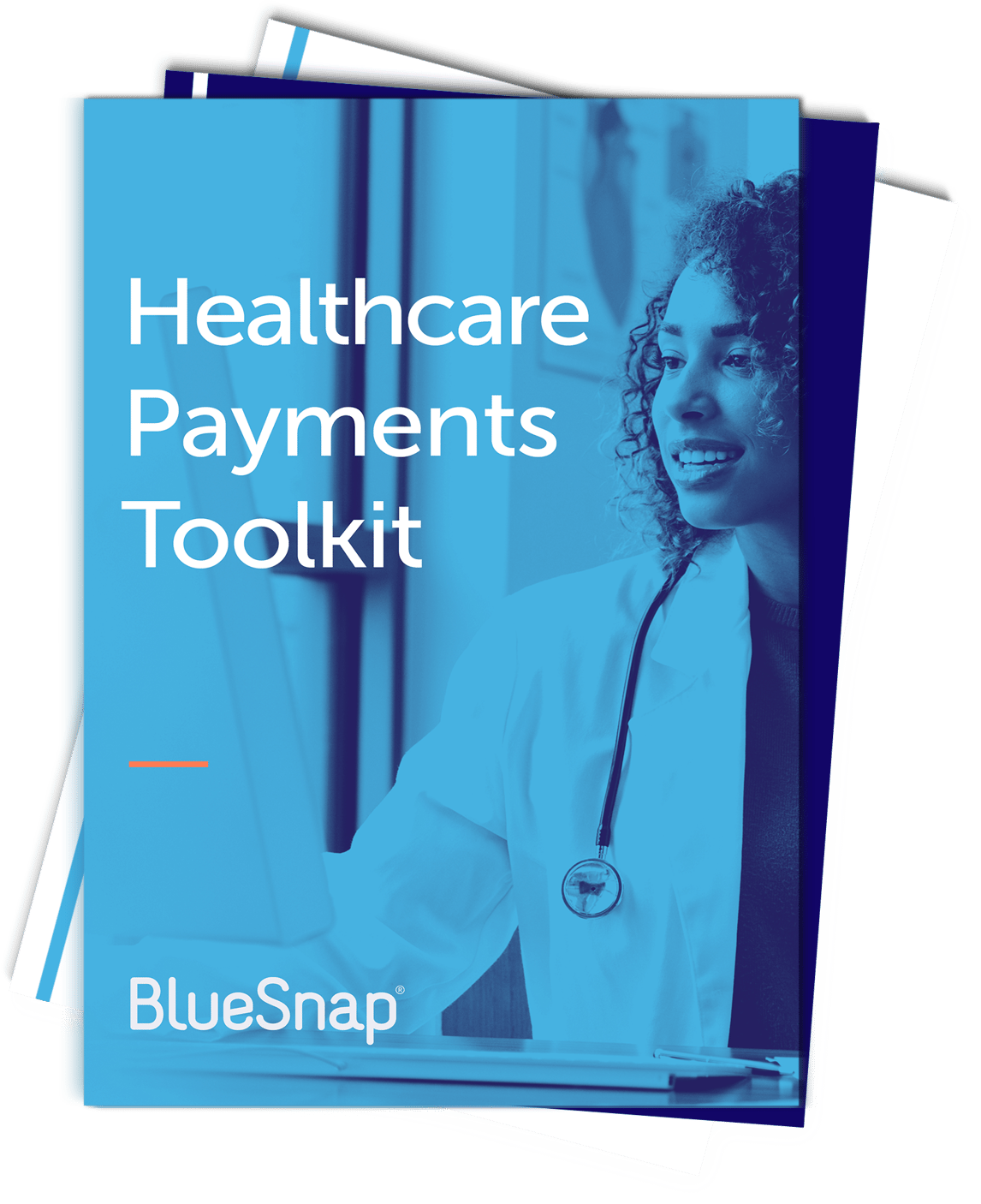 Healthcare Payments Toolkit BlueSnap