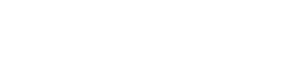 BlueSnap_Logo_White