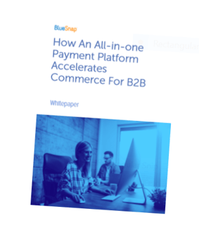 Download Whitepaper How An All In One Payment Platform