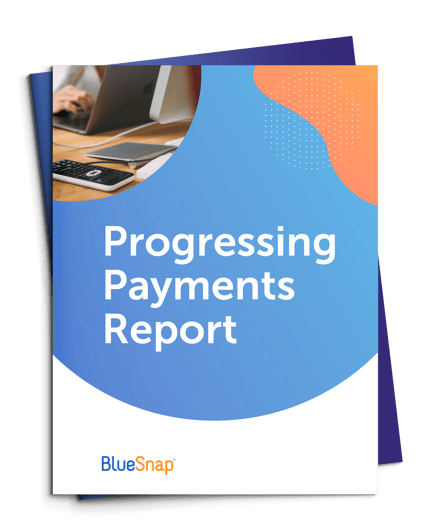 Your Progressing Payments Report BlueSnap