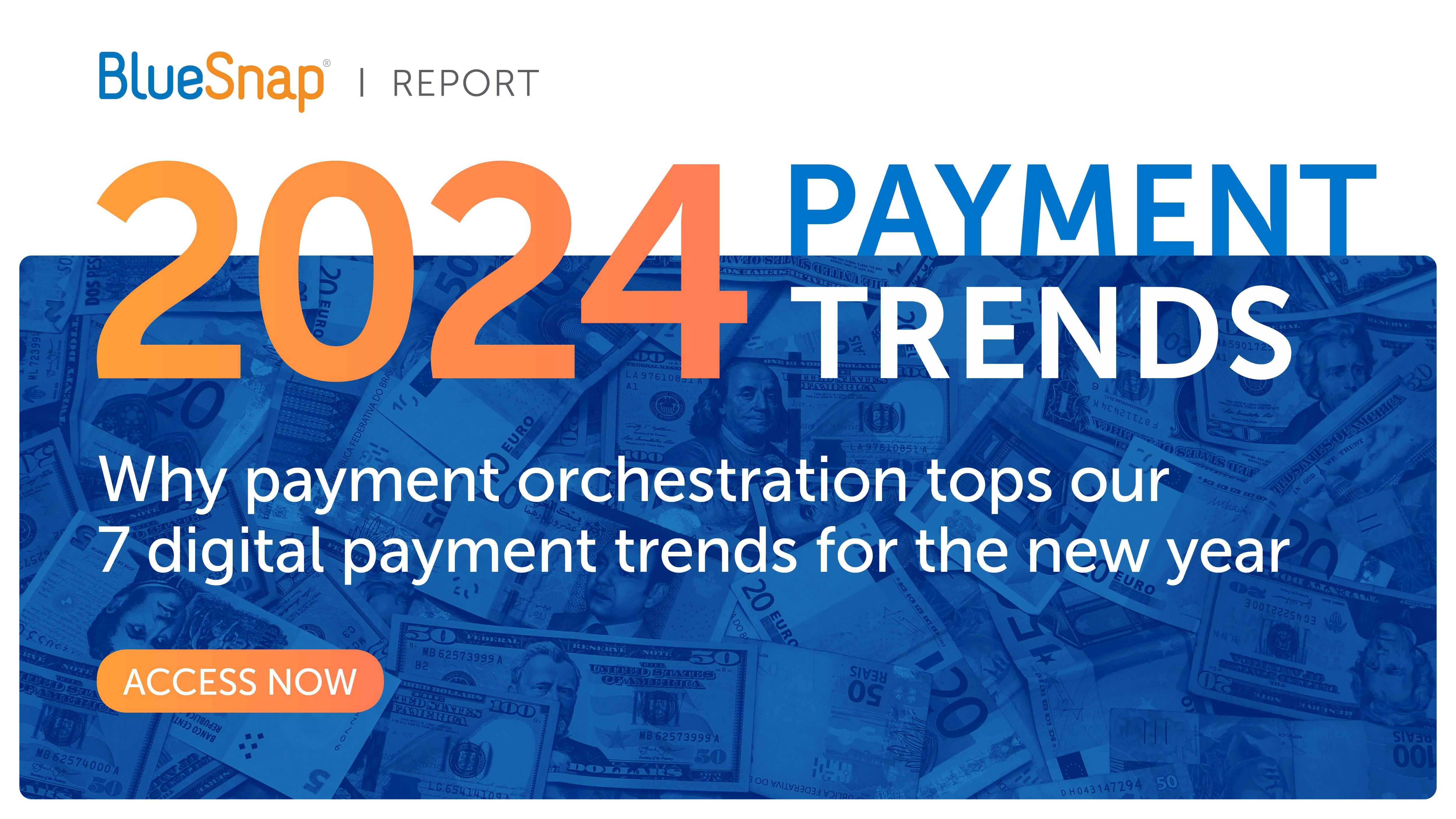 The 2024 Payment Trends Report BlueSnap