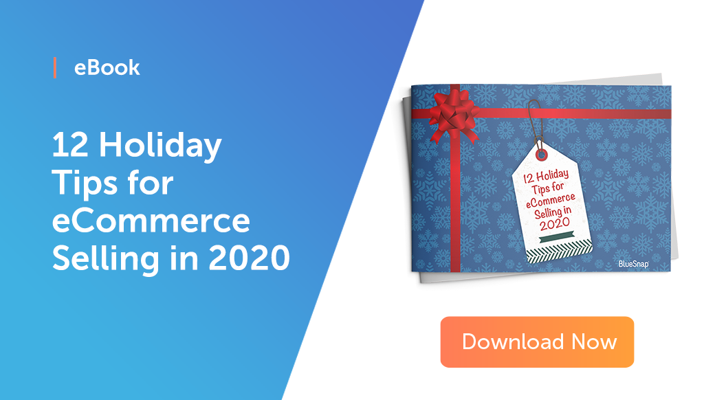 2020 Holiday Tips for eCommerce Selling | BlueSnap